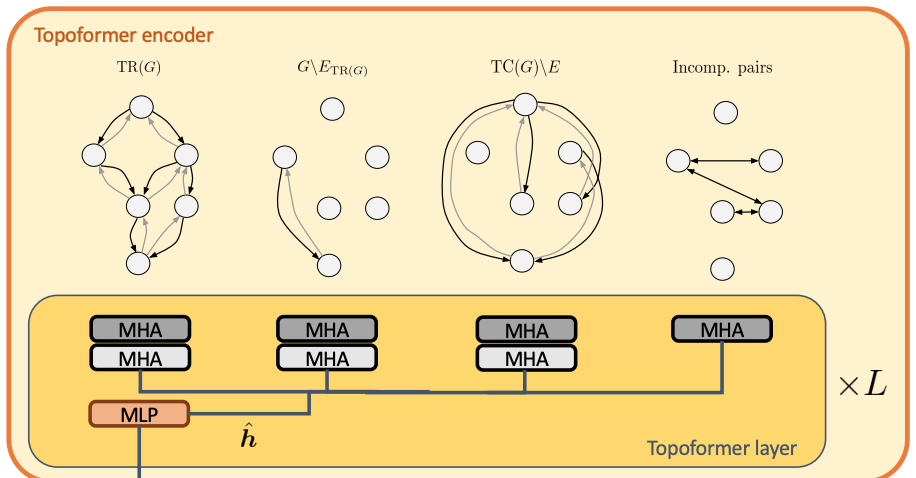 topoformer.png